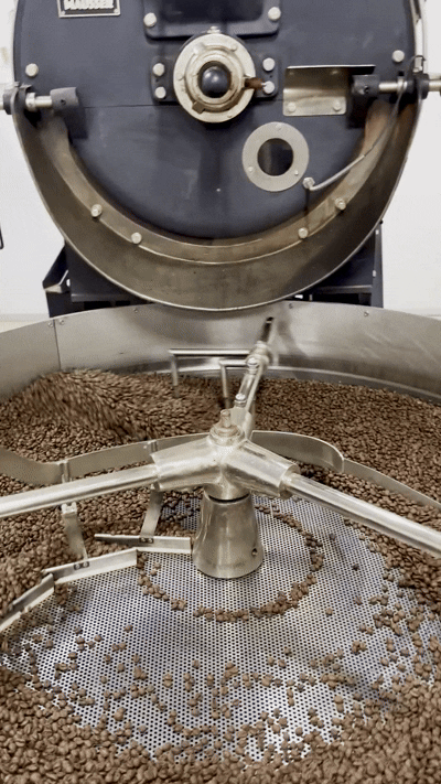 Coffee beans roasting and cooling in motion at Maison Coffee's roastery